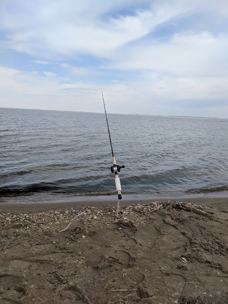 A Lake With a Name That Warned You From the Start A Lake With a Name That Warned You From the Start