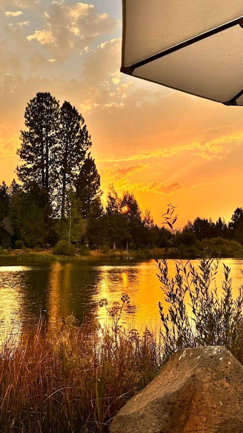 A Lakeside Setting That Transforms Every Meal