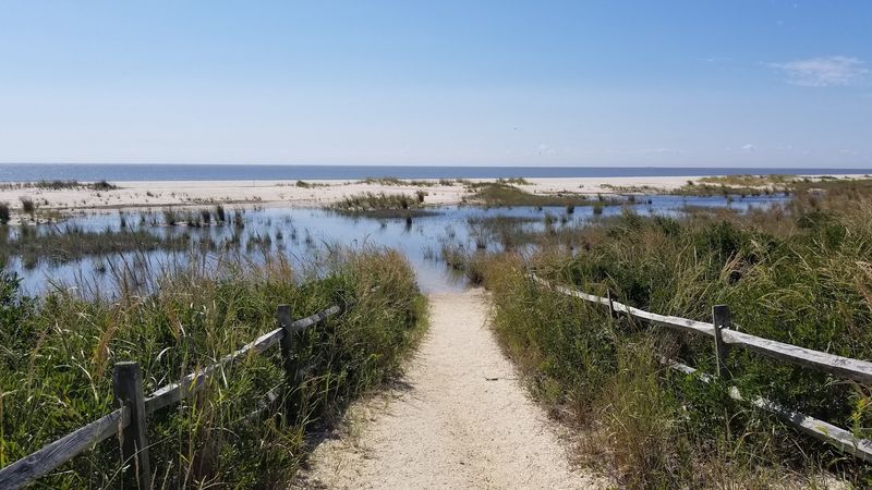 A Living Reminder of What Coastal Land Can Become