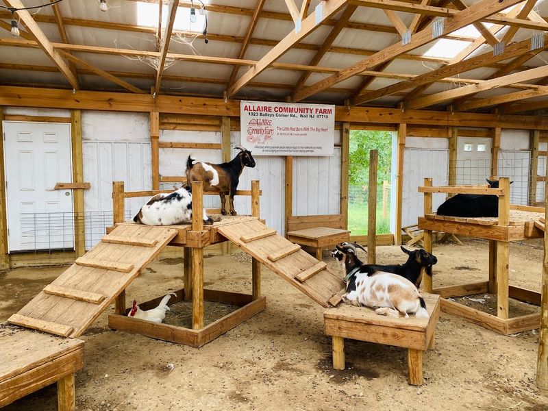 A Mission That Goes Way Beyond the Barnyard