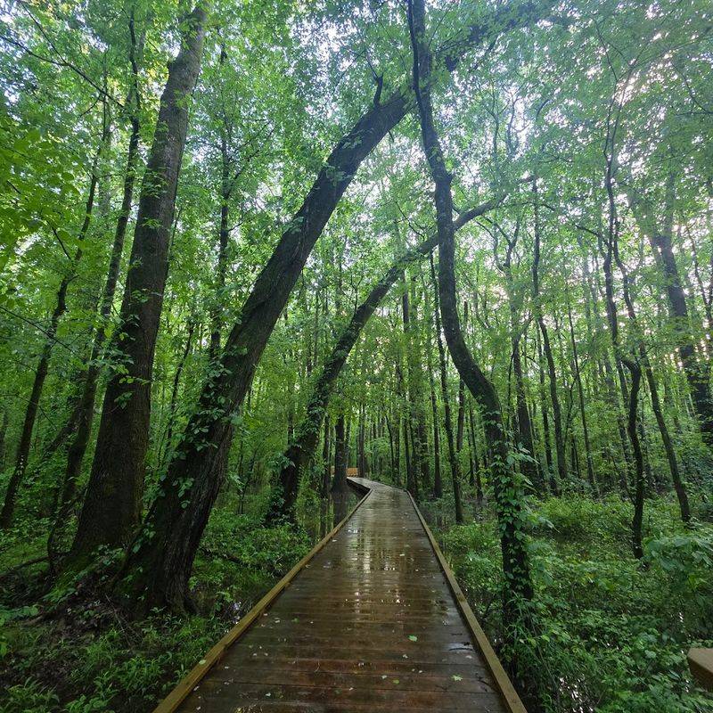 A National Natural Landmark Most Hikers Have Never Heard Of A National Natural Landmark Most Hikers Have Never Heard Of