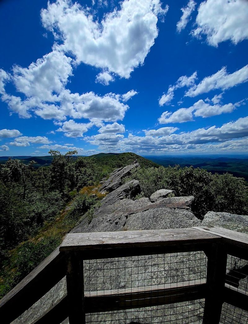 A Natural Perch With Seriously Dramatic Flair