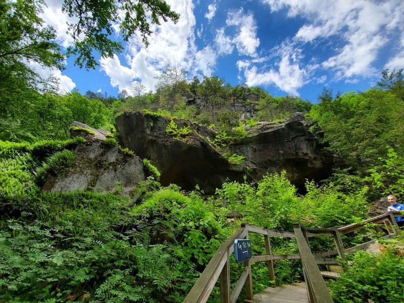 A Nature Trail That Sneaks Up on You With Beauty