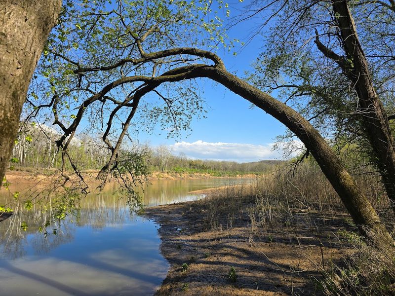 A Peaceful Escape That Feels a World Away From the City A Peaceful Escape That Feels a World Away From the City