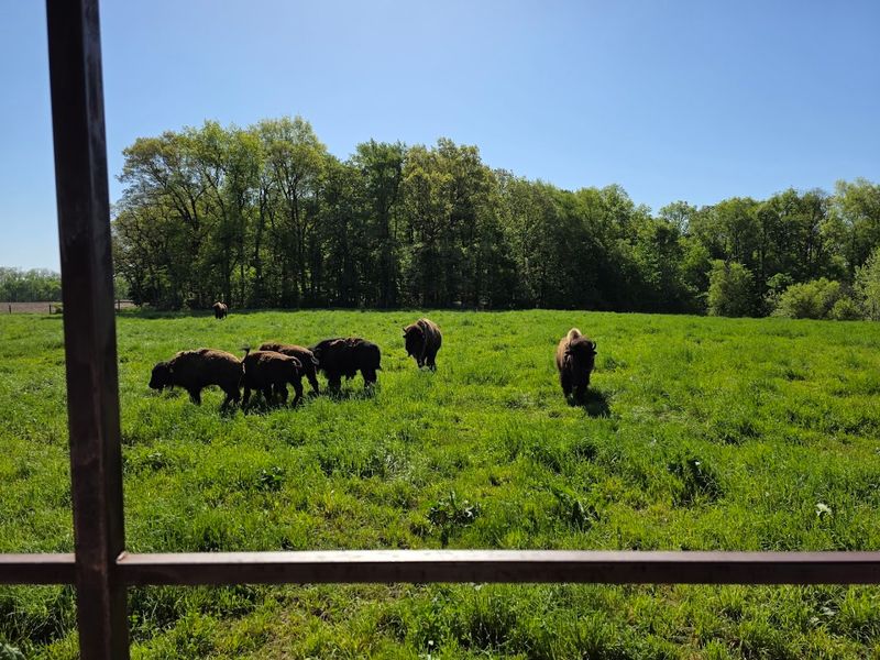 A Peaceful Northern Indiana Location Worth the Drive