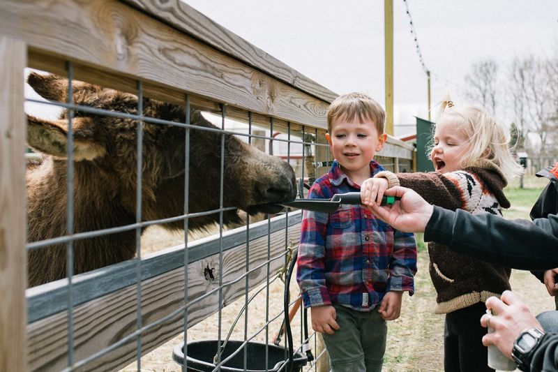 A Petting Zoo That Kids Absolutely Cannot Get Enough Of