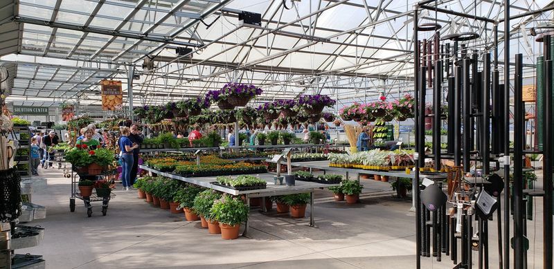A Plant Collection So Diverse It Rivals a Botanical Garden