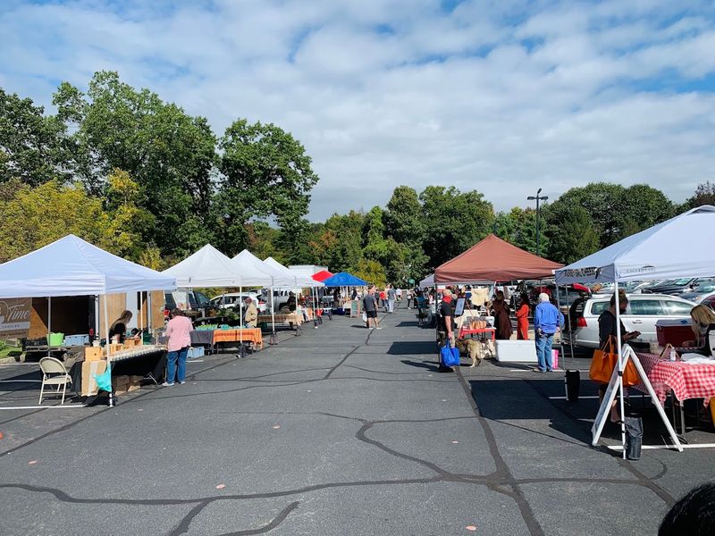 A Producer-Only Market With Real Roots