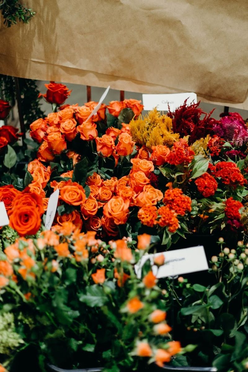 A Rainbow of Blooms Available Year-Round