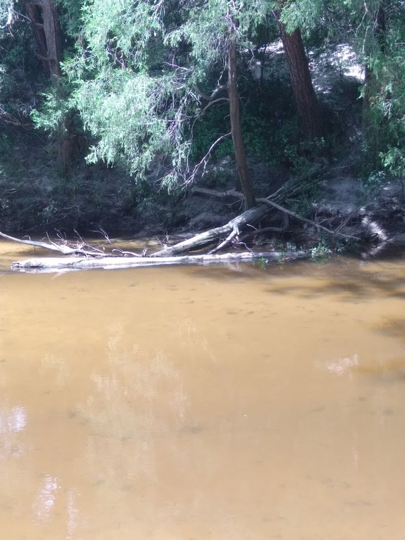 A Rare South Alabama Waterfall That Most People Never Expect to Find