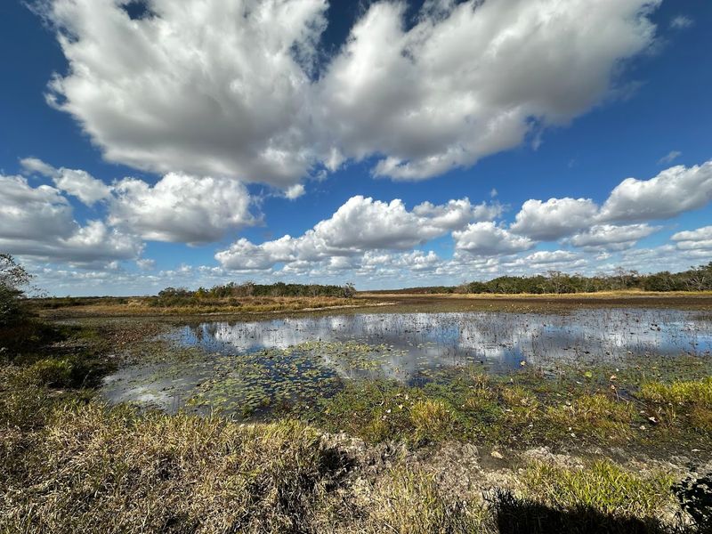 A Remarkable Variety of Wildlife Beyond the Prairie Chicken
