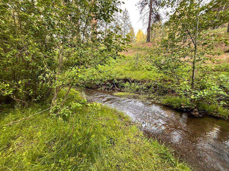 A Short Nature Hike That Earns Its Peaceful Reward