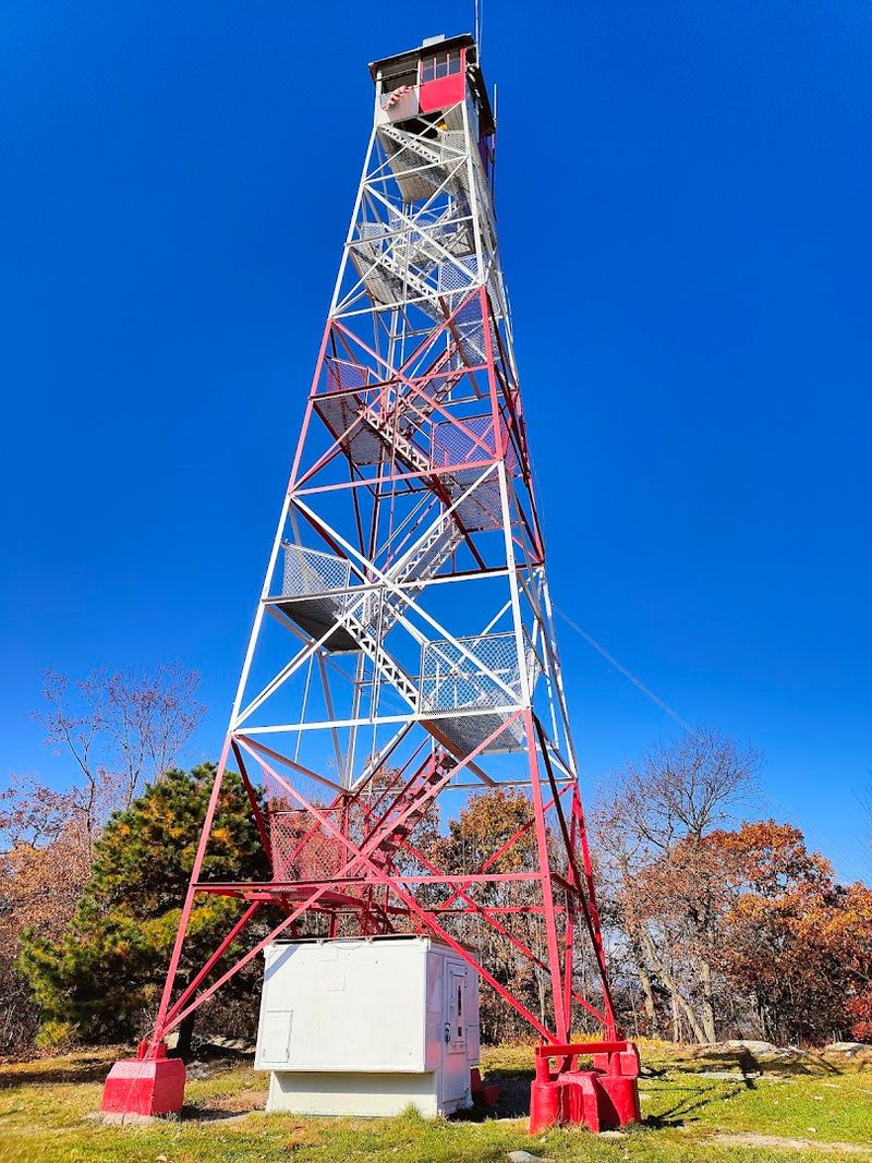 A Steel Giant Born in 1922