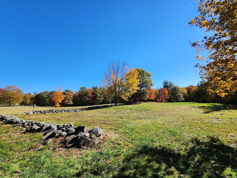 A Trail System That Connects Seven Homesteads