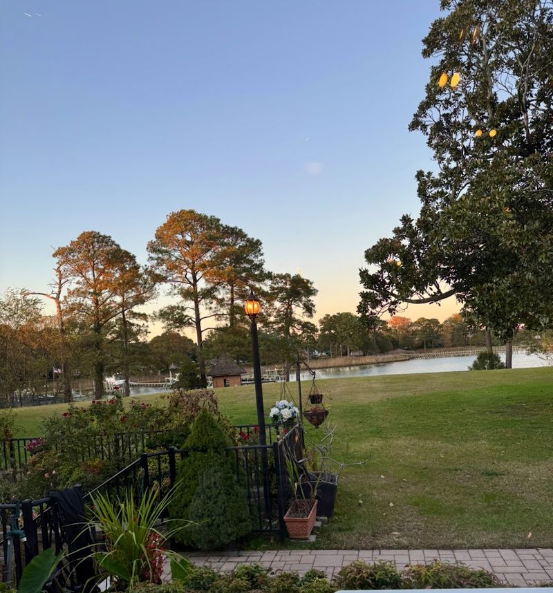 A Waterfront Setting That Makes Every Meal Feel Scenic