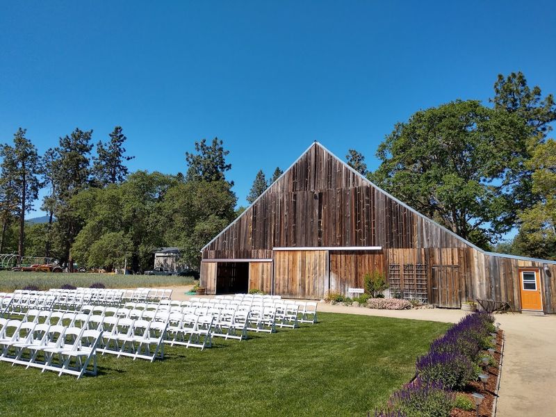 A Wedding Venue Hidden Inside a Working Farm