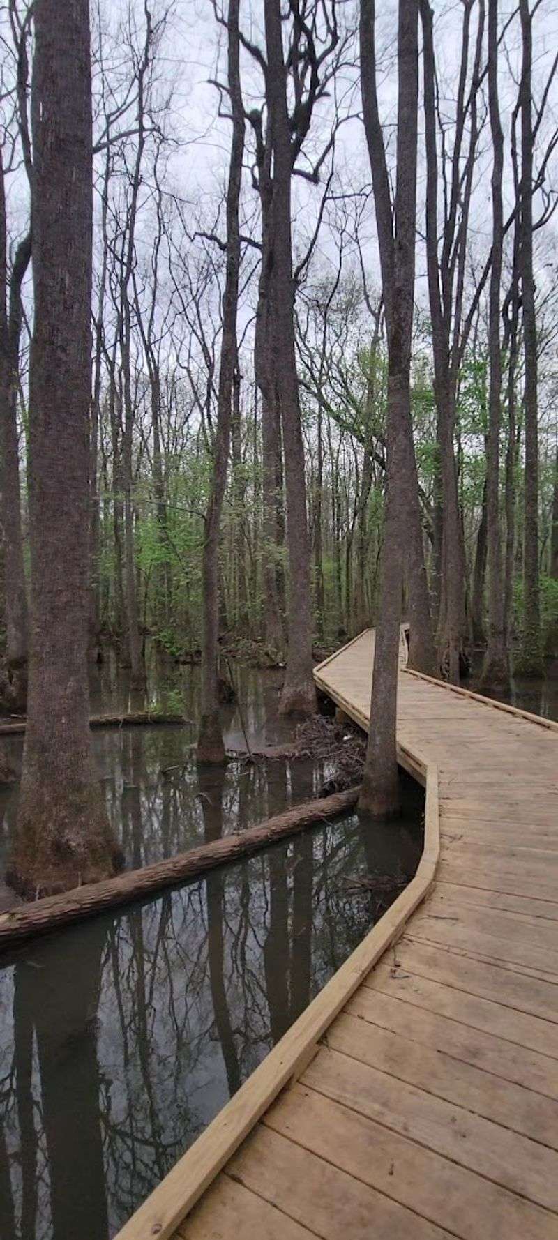 A Well-Maintained Trail With a Thoughtful Layout A Well-Maintained Trail With a Thoughtful Layout