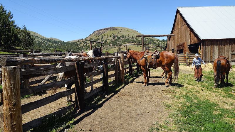 A Working Ranch That Feels Like Home A Working Ranch That Feels Like Home