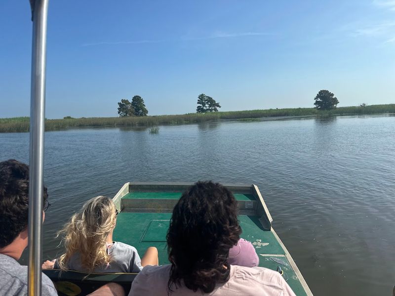 AA Airboat Express: Blast Through Mobile Bay's Wild Wetlands at Full Throttle AA Airboat Express: Blast Through Mobile Bay's Wild Wetlands at Full Throttle