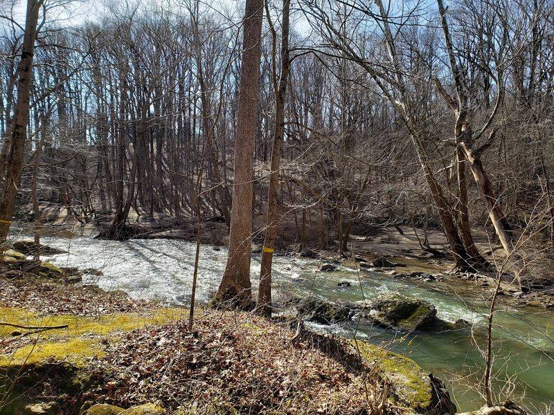 About a Mile of Trails That Deliver More Than Expected About a Mile of Trails That Deliver More Than Expected