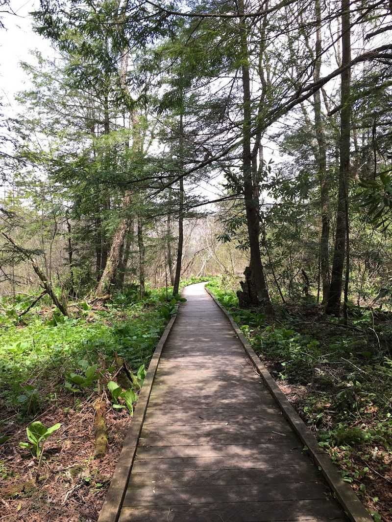 Accessible Start to the Trail