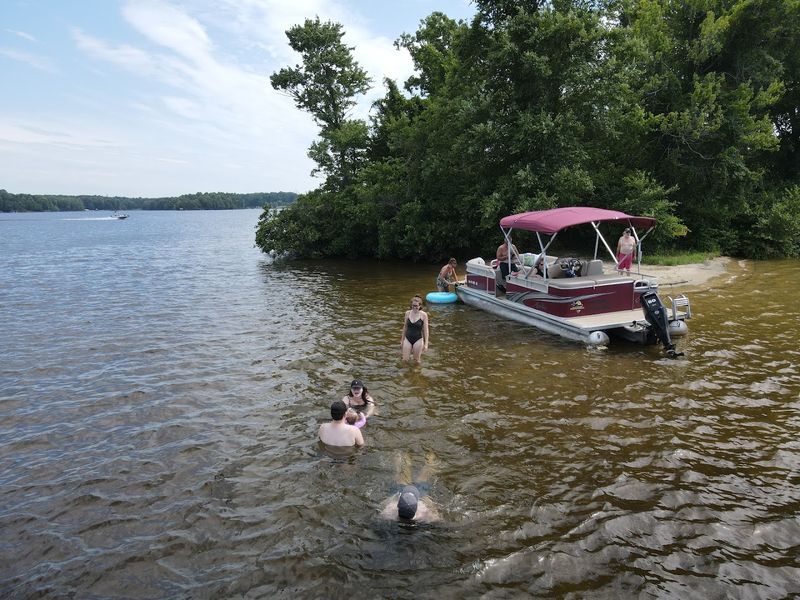 Algae Blooms Are Turning Summer Swims Into a Gamble