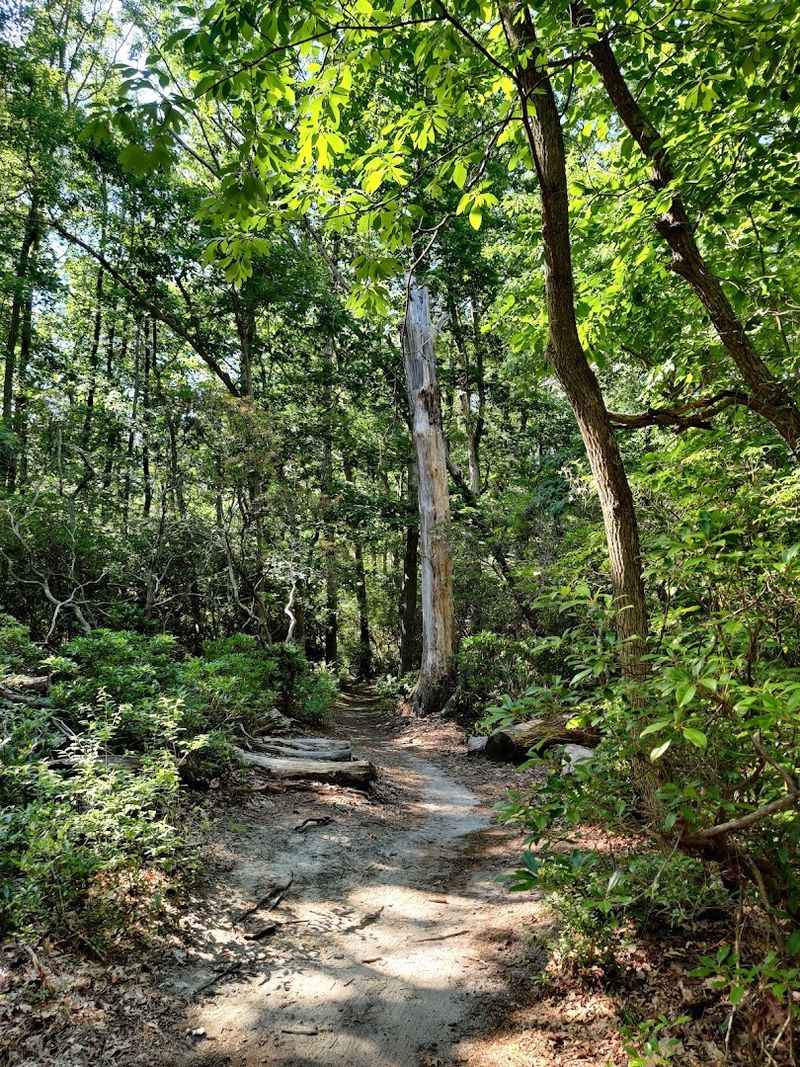 Allaire State Park Brisbane Trail Allaire State Park Brisbane Trail