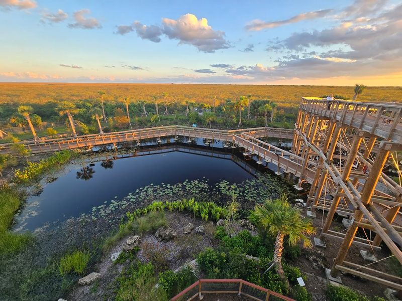 Alligator Alley Elevated Boardwalk
