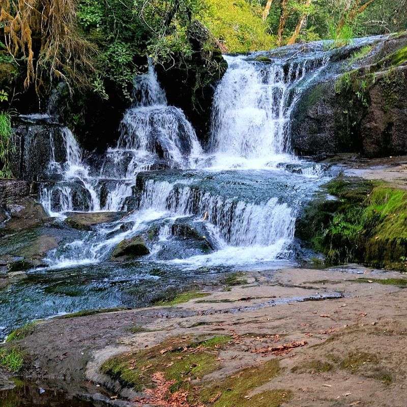 Alsea Falls Swimming Hole, Alsea River, Oregon