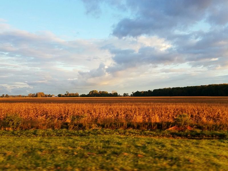 Amazon Web Services Is Reshaping This Town