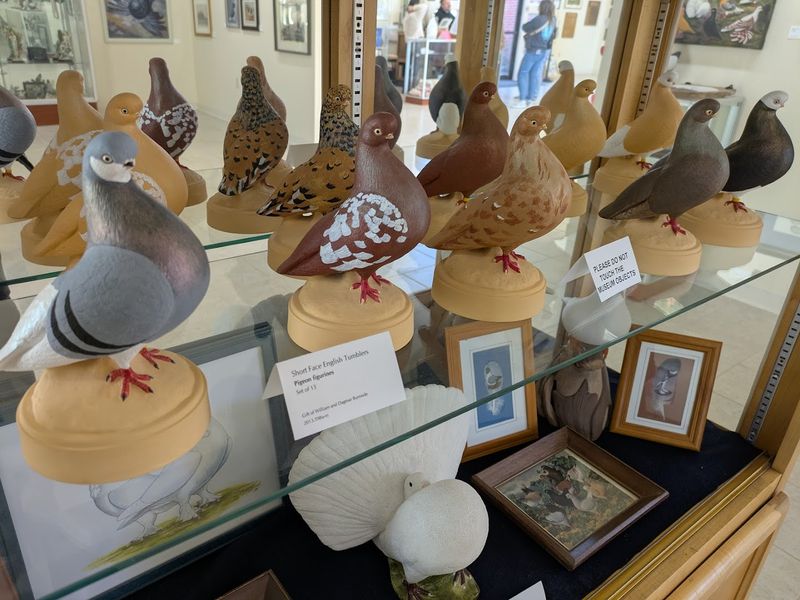 American Pigeon Museum, Oklahoma City, Oklahoma