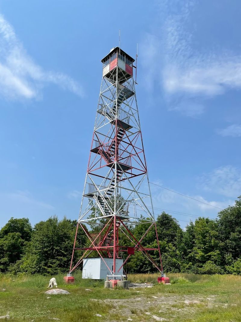 An Active Fire Detection Tower Still on Duty