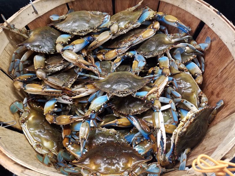 An Easy Stop For Seafood Lovers