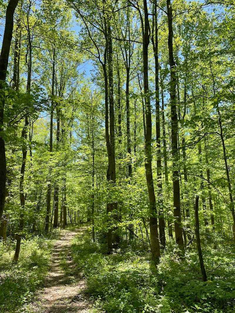 An Extensive Trail System for Every Type of Visitor An Extensive Trail System for Every Type of Visitor