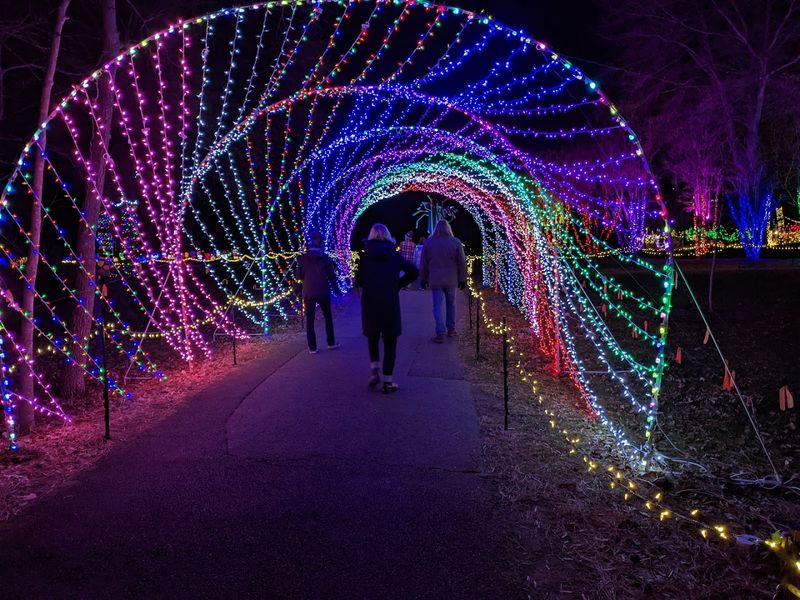 Annmarie Garden in Lights, a Wintertime Transformation Worth Seeing