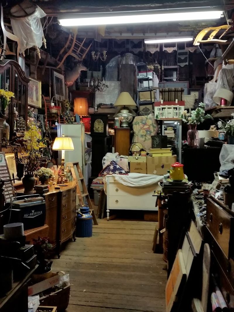 Antique Cameras, Vintage Electronics, and Record Albums