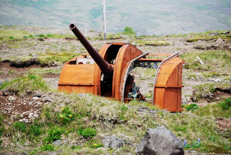 Artillery Guns That Still Point at an Empty Sky