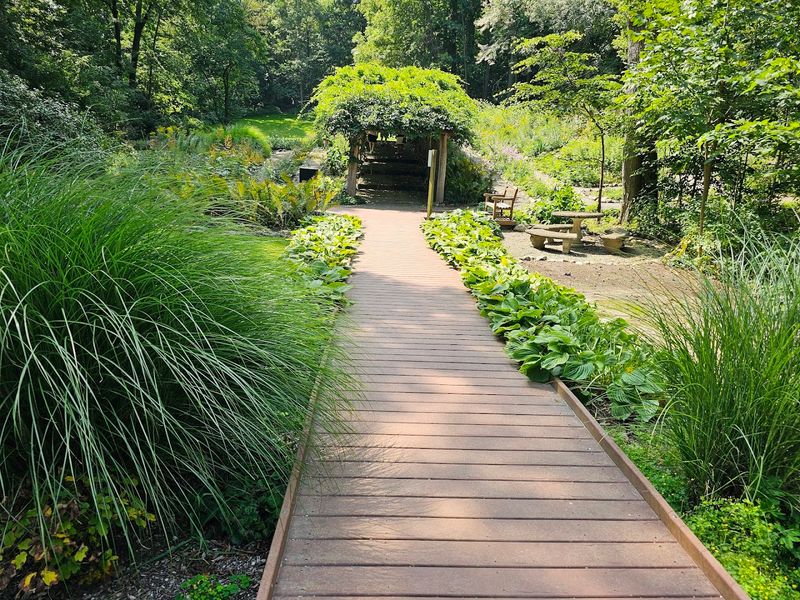 Attend a Wildflower Walk or Gene's Annual Birthday Celebration