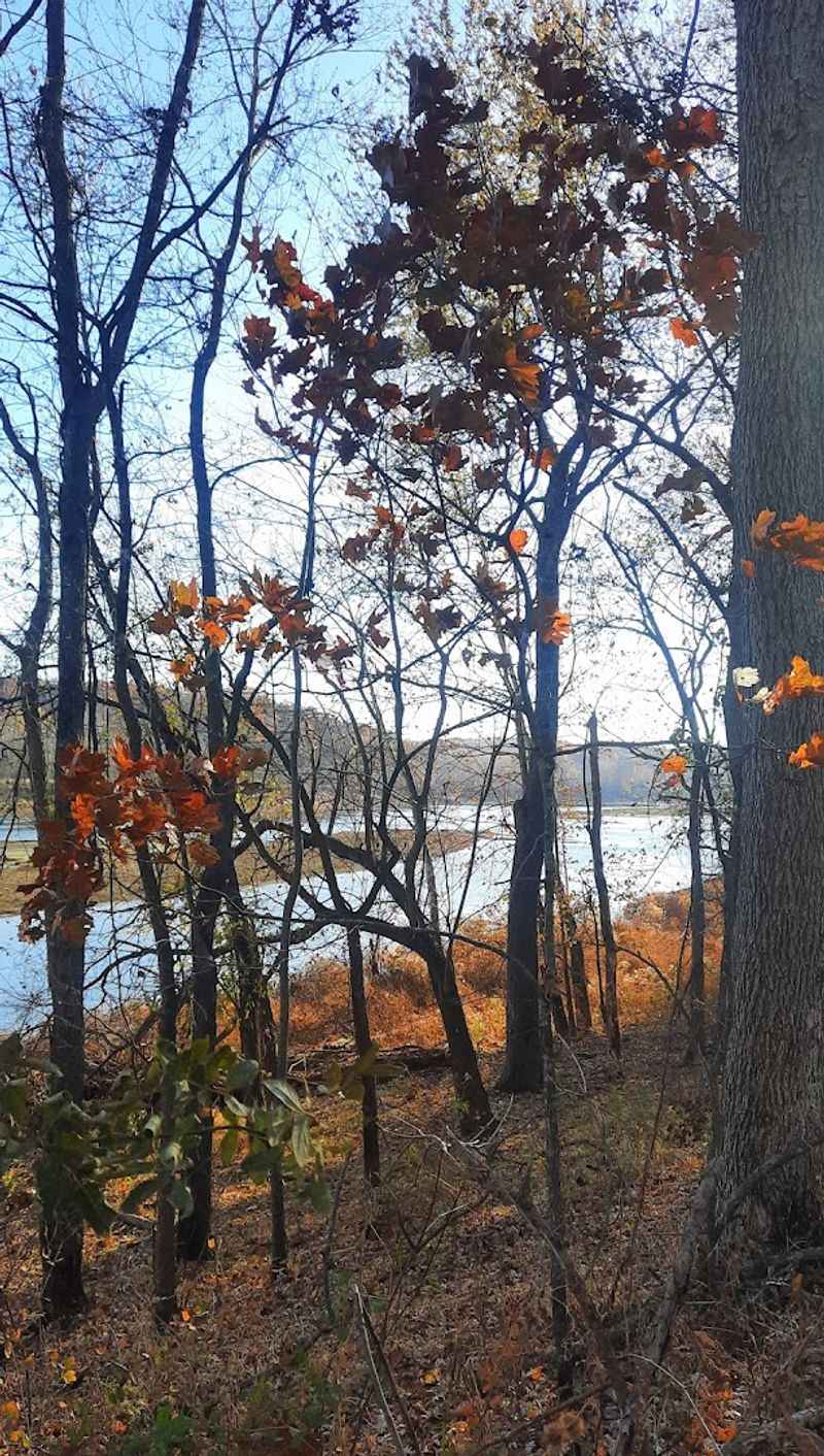 Autumn Colors Along the Ozark Corridor