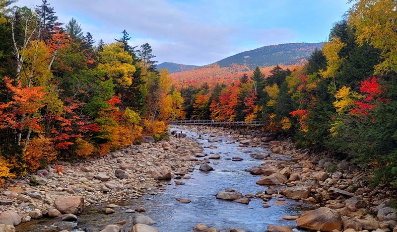 Autumn Foliage So Good It Feels Illegal
