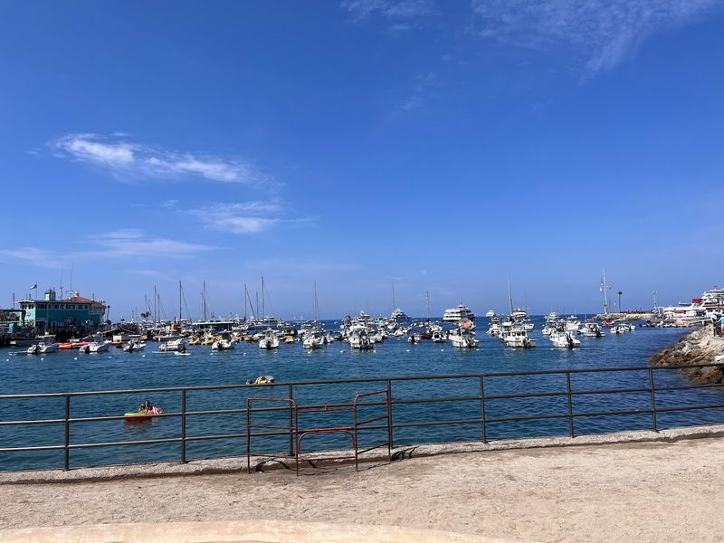 Avalon Bay and the Yacht-Filled Harbor