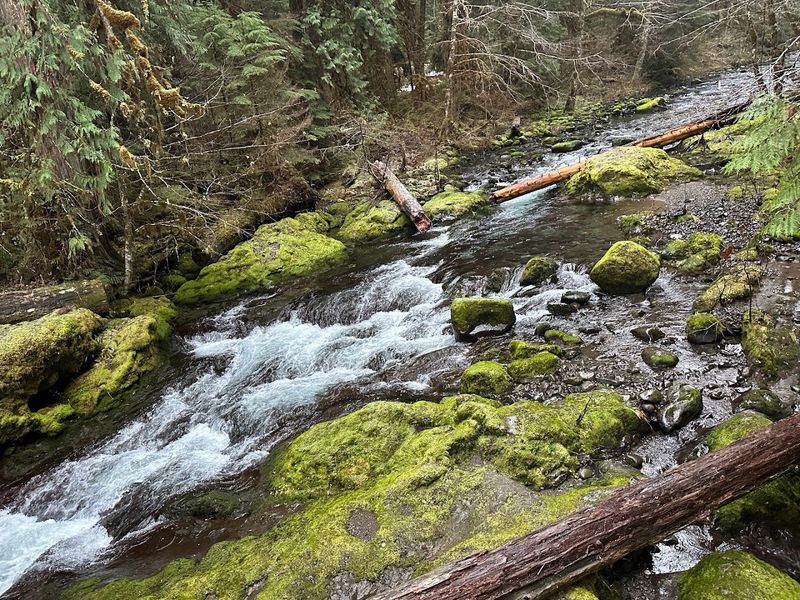 Bagby Hot Springs Swimming Area, Mount Hood National Forest, Oregon