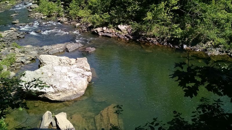 Bald Eagles, River Otters, and Wildlife You Will Not Believe