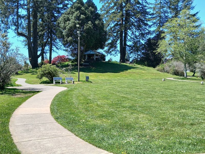 Baseball Fields and Open Sports Areas