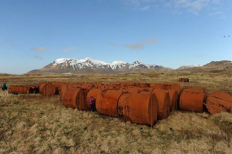 Battlefield Relics Hidden Beneath the Tundra