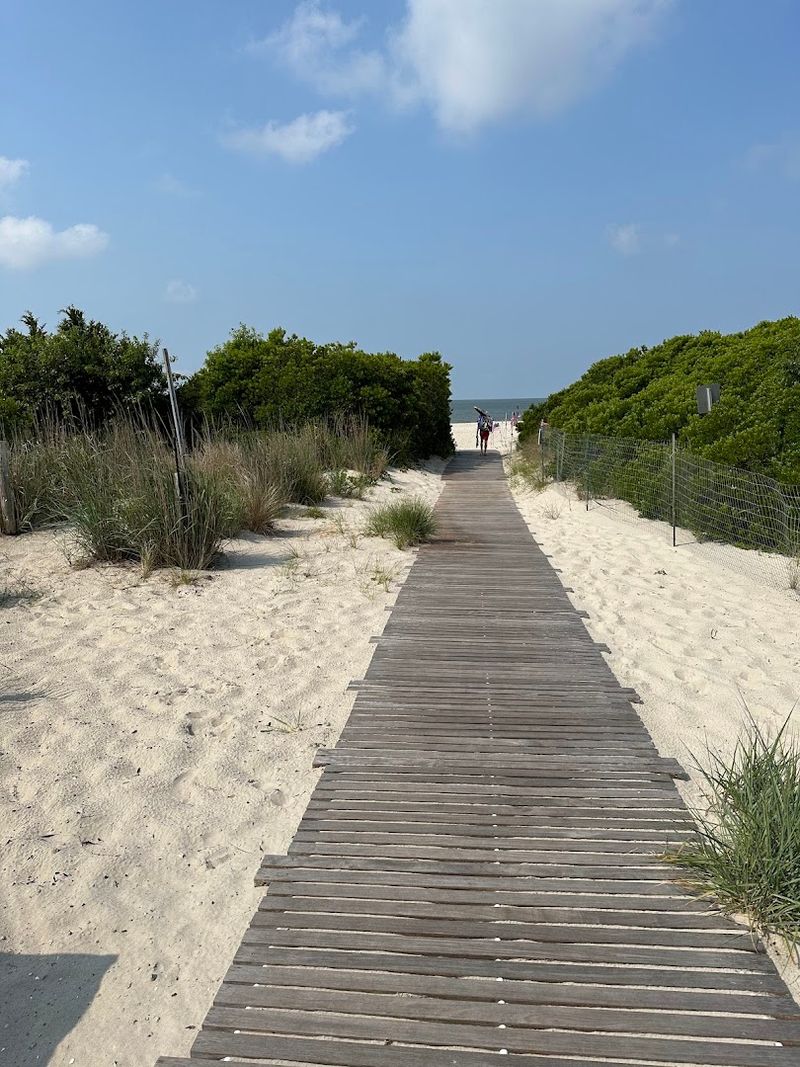 Beach Access and Dune Exploration