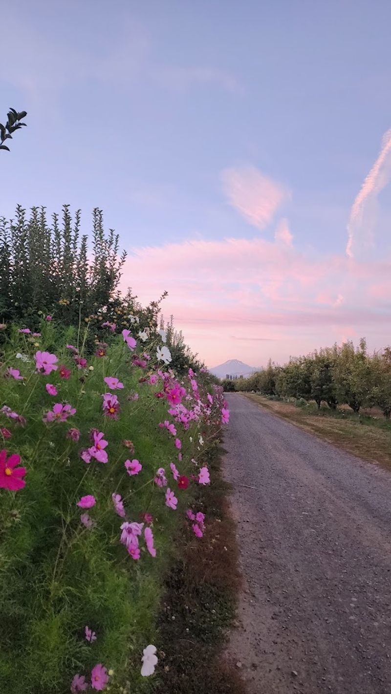 Bear Creek Farm, Hood River, Oregon
