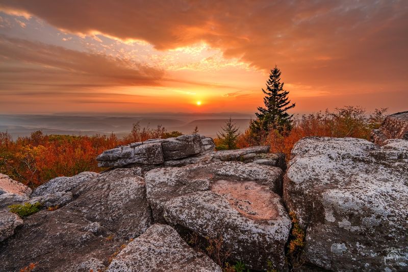 Bear Rocks Preserve