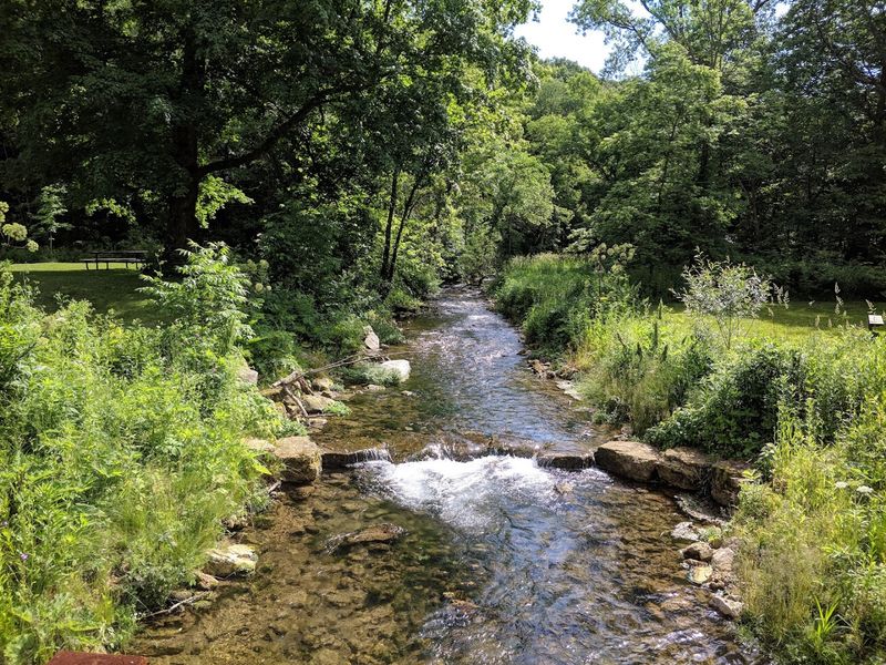 Beaver Creek Valley State Park Swimming Spot, Caledonia, Minnesota