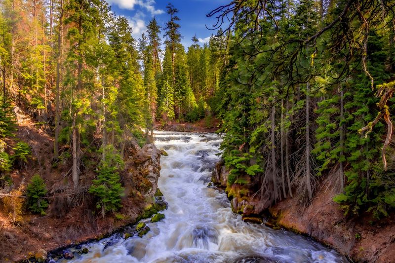Benham Falls Viewing Platform